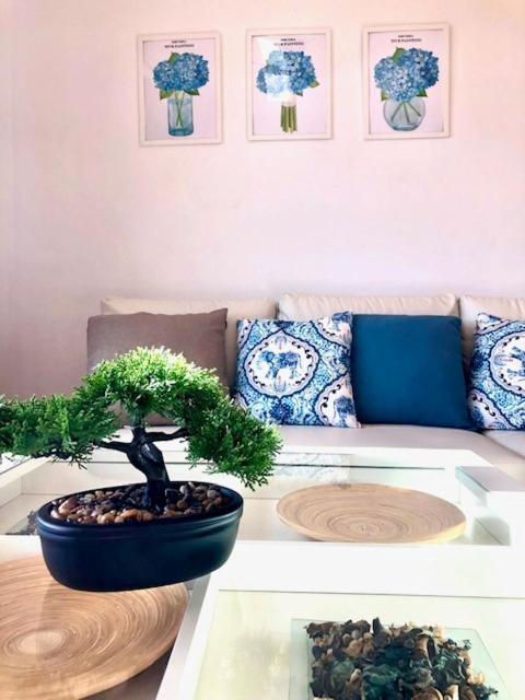 Gatu Premium Atico Parra, Parking, Piscina Comun, Terraza, Wifi , " Preferente Mayores De 25 Anos Y Familias " إل بويرتو دي سانتا ماريا المظهر الخارجي الصورة
