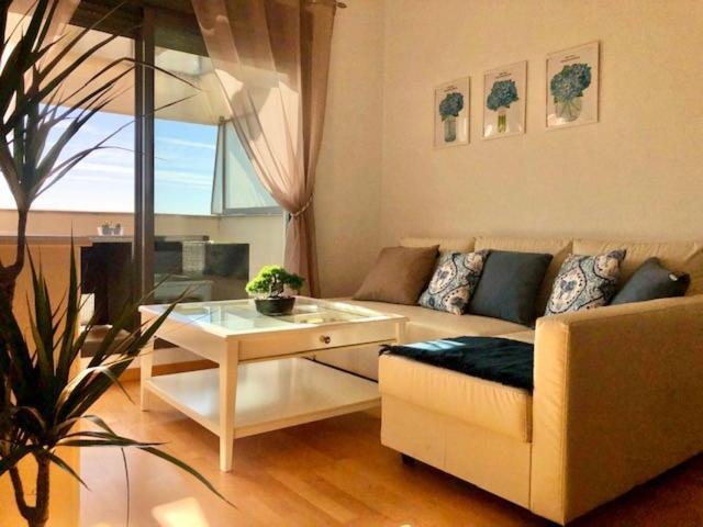 Gatu Premium Atico Parra, Parking, Piscina Comun, Terraza, Wifi , " Preferente Mayores De 25 Anos Y Familias " إل بويرتو دي سانتا ماريا المظهر الخارجي الصورة